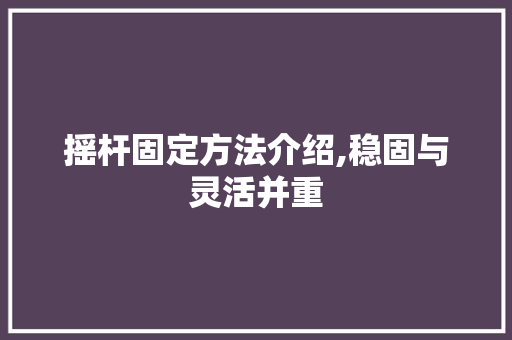 摇杆固定方法介绍,稳固与灵活并重