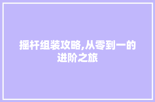 摇杆组装攻略,从零到一的进阶之旅
