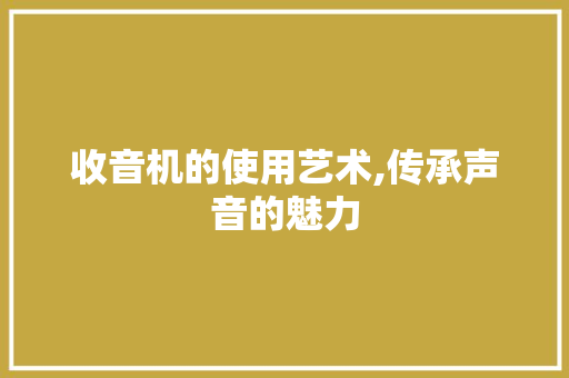 收音机的使用艺术,传承声音的魅力