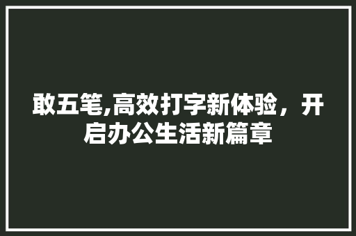 敢五笔,高效打字新体验，开启办公生活新篇章