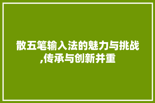 散五笔输入法的魅力与挑战,传承与创新并重