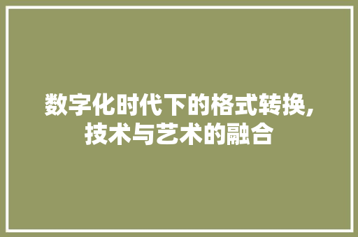 数字化时代下的格式转换,技术与艺术的融合