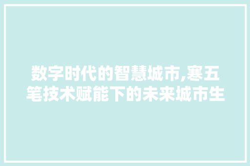 数字时代的智慧城市,寒五笔技术赋能下的未来城市生活