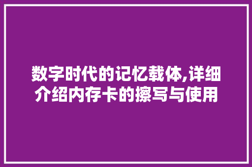 数字时代的记忆载体,详细介绍内存卡的擦写与使用