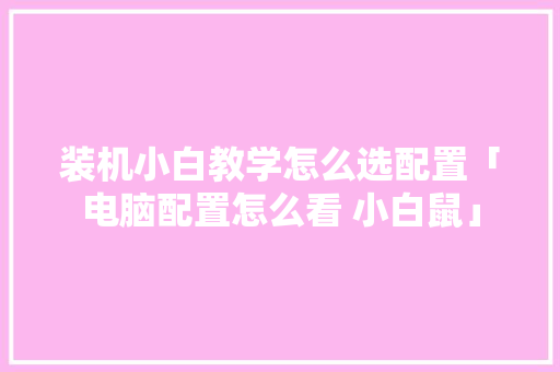装机小白教学怎么选配置「电脑配置怎么看 小白鼠」 装机小白教学怎么选配置「电脑配置怎么看 小白鼠」 电脑故障维修
