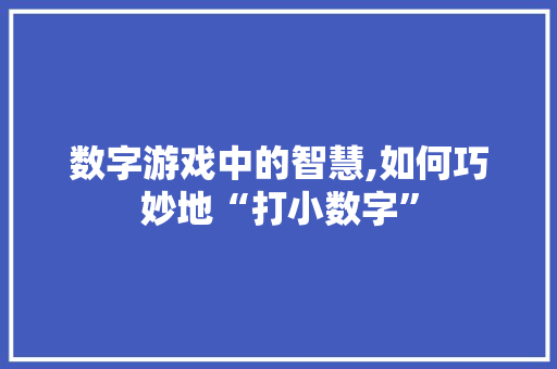 数字游戏中的智慧,如何巧妙地“打小数字”