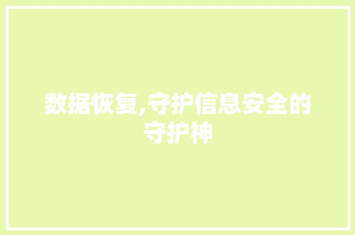 数据恢复,守护信息安全的守护神