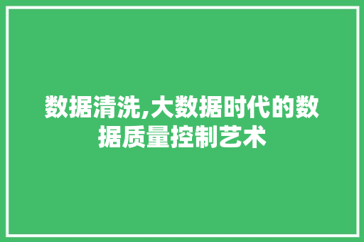 数据清洗,大数据时代的数据质量控制艺术
