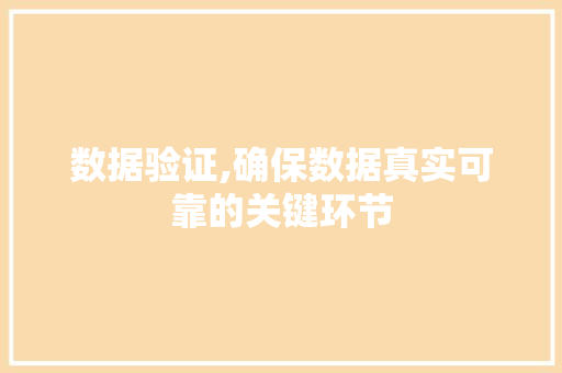 数据验证,确保数据真实可靠的关键环节