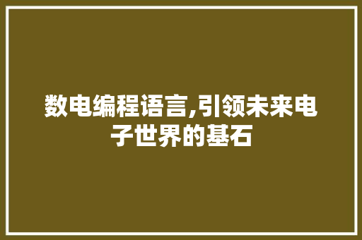 数电编程语言,引领未来电子世界的基石