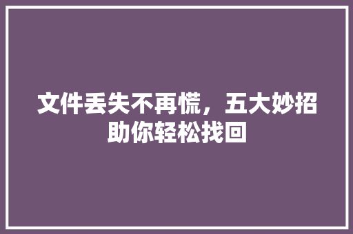 文件丢失不再慌，五大妙招助你轻松找回
