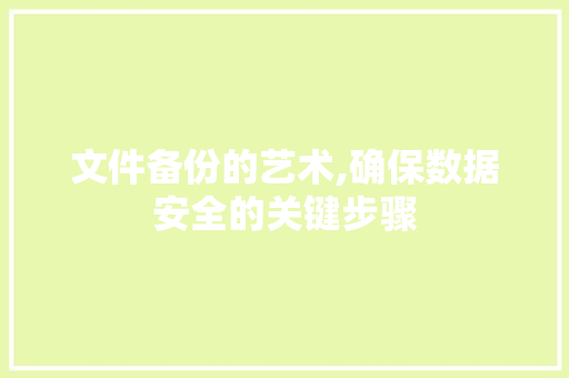 文件备份的艺术,确保数据安全的关键步骤