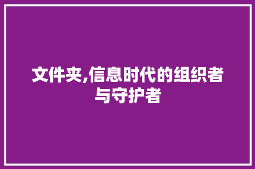 文件夹,信息时代的组织者与守护者
