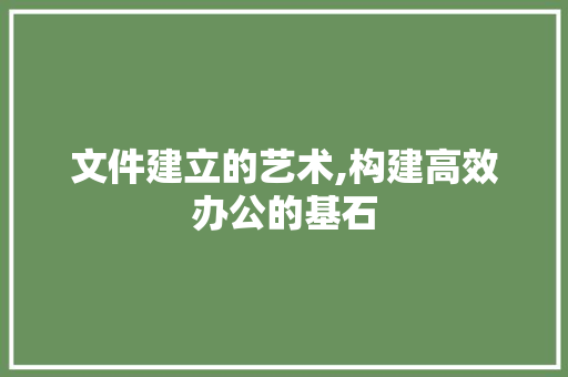 文件建立的艺术,构建高效办公的基石