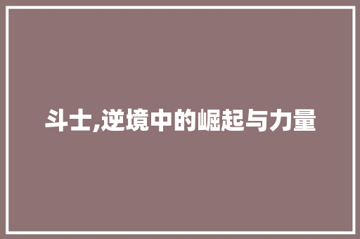 斗士,逆境中的崛起与力量