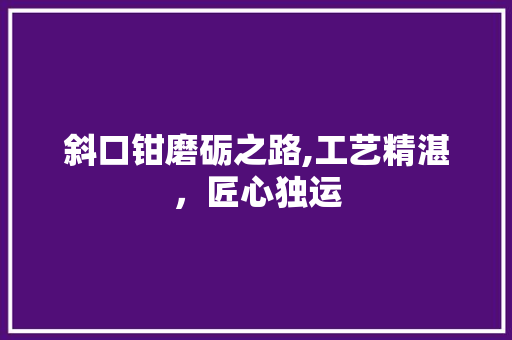 斜口钳磨砺之路,工艺精湛，匠心独运