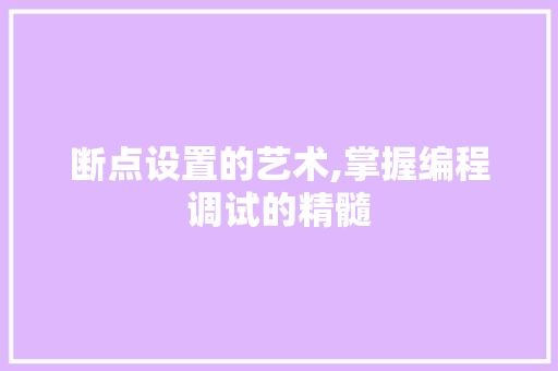 断点设置的艺术,掌握编程调试的精髓