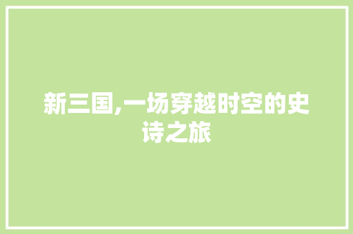 新三国,一场穿越时空的史诗之旅