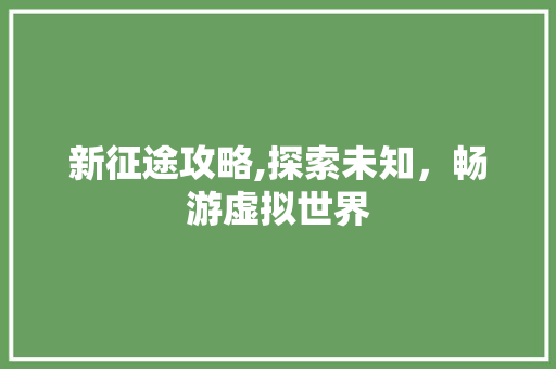 新征途攻略,探索未知，畅游虚拟世界