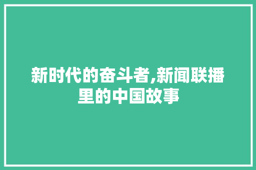 新时代的奋斗者,新闻联播里的中国故事