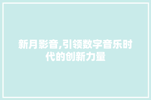 新月影音,引领数字音乐时代的创新力量