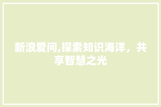 新浪爱问,探索知识海洋，共享智慧之光