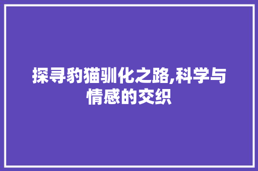 探寻豹猫驯化之路,科学与情感的交织 探寻豹猫驯化之路,科学与情感的交织