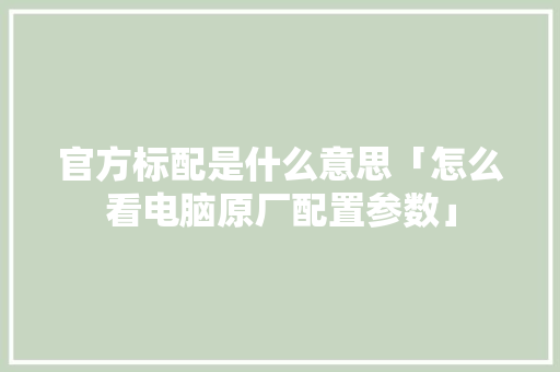 官方标配是什么意思「怎么看电脑原厂配置参数」