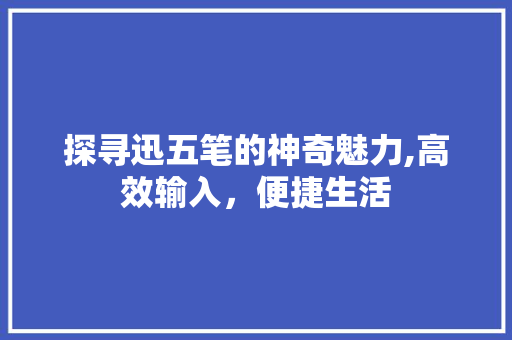 探寻迅五笔的神奇魅力,高效输入，便捷生活