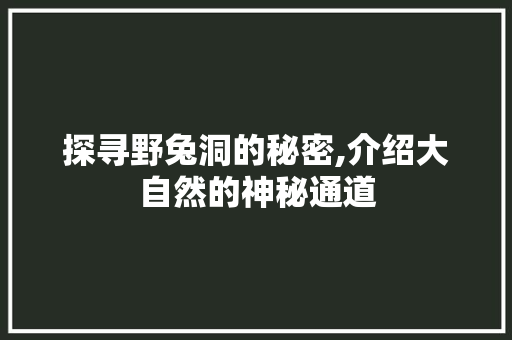 探寻野兔洞的秘密,介绍大自然的神秘通道