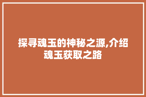 探寻魂玉的神秘之源,介绍魂玉获取之路