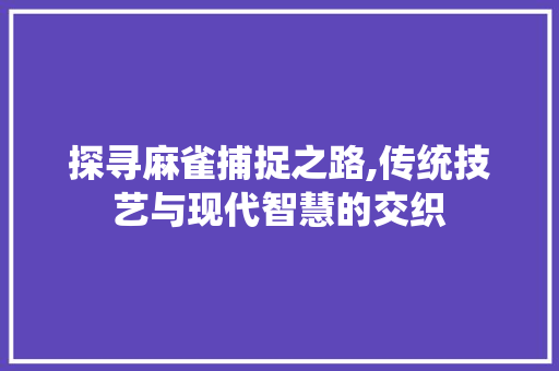 探寻麻雀捕捉之路,传统技艺与现代智慧的交织