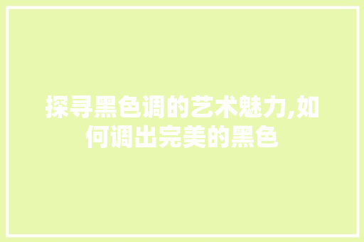 探寻黑色调的艺术魅力,如何调出完美的黑色