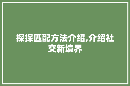 探探匹配方法介绍,介绍社交新境界