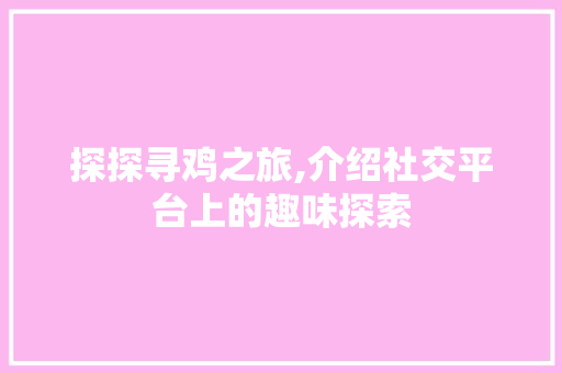 探探寻鸡之旅,介绍社交平台上的趣味探索