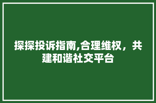 探探投诉指南,合理维权，共建和谐社交平台