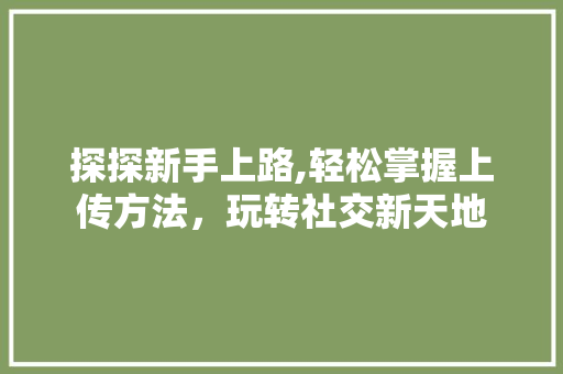 探探新手上路,轻松掌握上传方法，玩转社交新天地