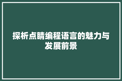 探析点睛编程语言的魅力与发展前景