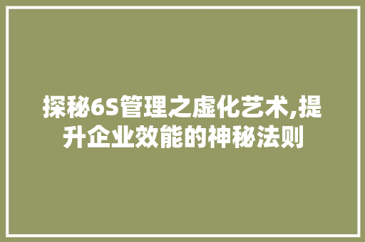探秘6S管理之虚化艺术,提升企业效能的神秘法则