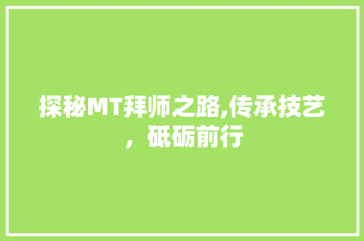 探秘MT拜师之路,传承技艺，砥砺前行