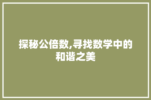 探秘公倍数,寻找数学中的和谐之美 操作系统