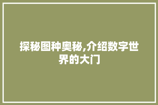 探秘图种奥秘,介绍数字世界的大门 操作系统