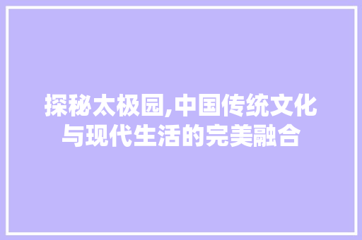 探秘太极园,中国传统文化与现代生活的完美融合 网络技术