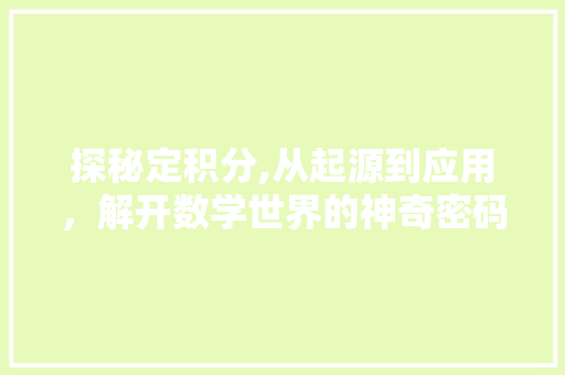 探秘定积分,从起源到应用，解开数学世界的神奇密码 编程语言