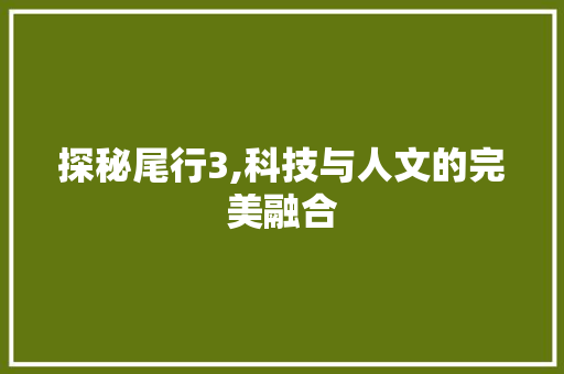探秘尾行3,科技与人文的完美融合 电脑故障维修