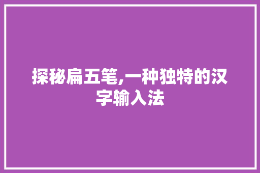 探秘扁五笔,一种独特的汉字输入法 操作系统