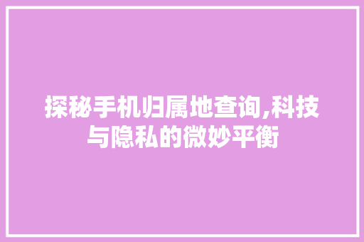 探秘手机归属地查询,科技与隐私的微妙平衡 电脑故障维修