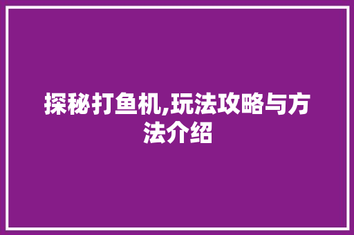 探秘打鱼机,玩法攻略与方法介绍 电脑配置