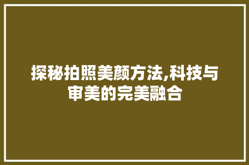 探秘拍照美颜方法,科技与审美的完美融合 网络技术