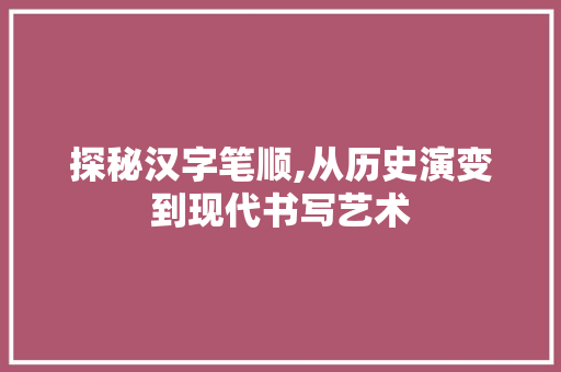 探秘汉字笔顺,从历史演变到现代书写艺术 编程语言